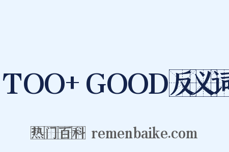 TOO+GOOD反义词是什么意思的图片